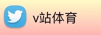 v站体育 Logo